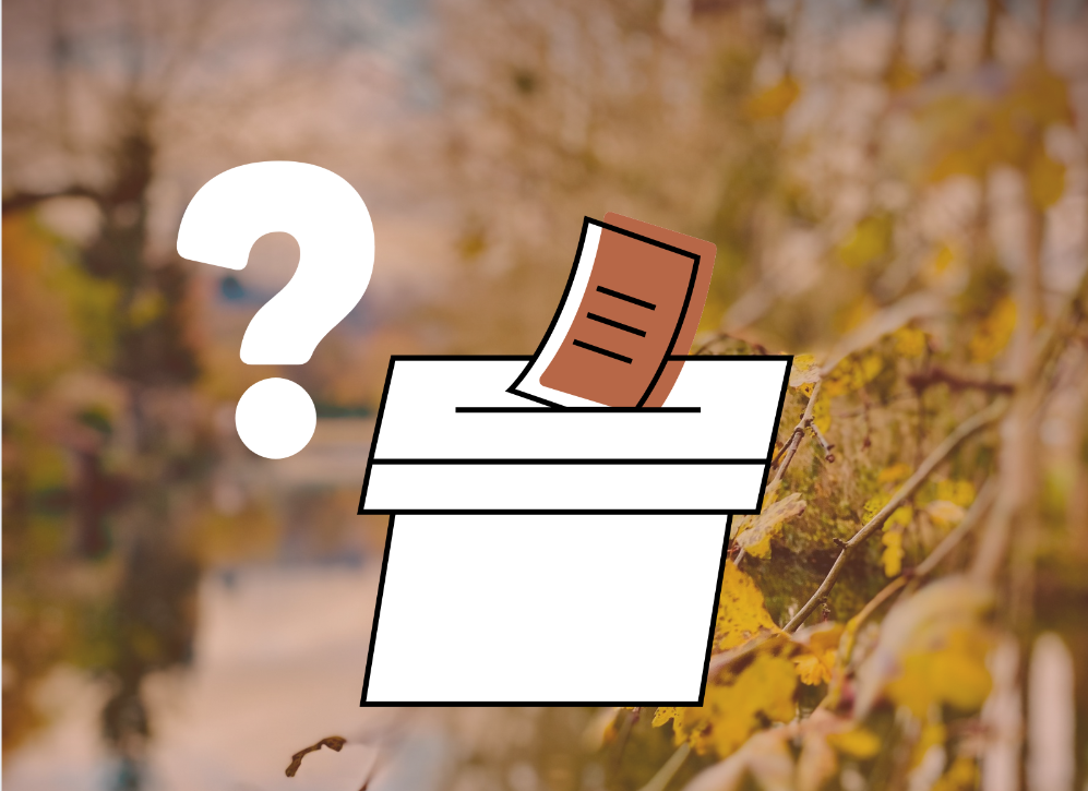 Qui, autour de vous, ferait un bon ou une bonne conseillère municipale ?